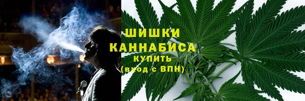 винт Арсеньев